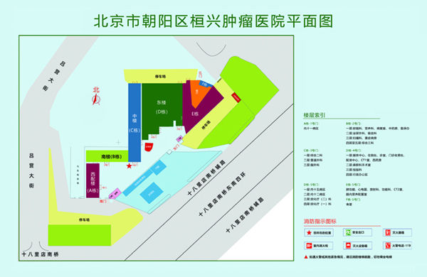 插嫩嫩逼网北京市朝阳区桓兴肿瘤医院平面图